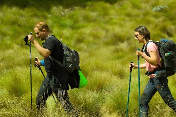 Tourists hiking on an ascent trail during a Mount Kilimanjaro trek