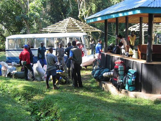 Trekkers hiking through dense rainforest on the way to Umbwe Cave Camp