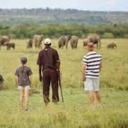 5 days Tanzania group Join safari tour 2026-2027