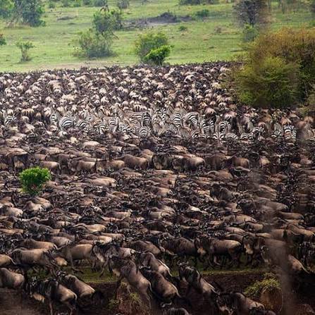 Best Time and Season to Visit Serengeti National Park