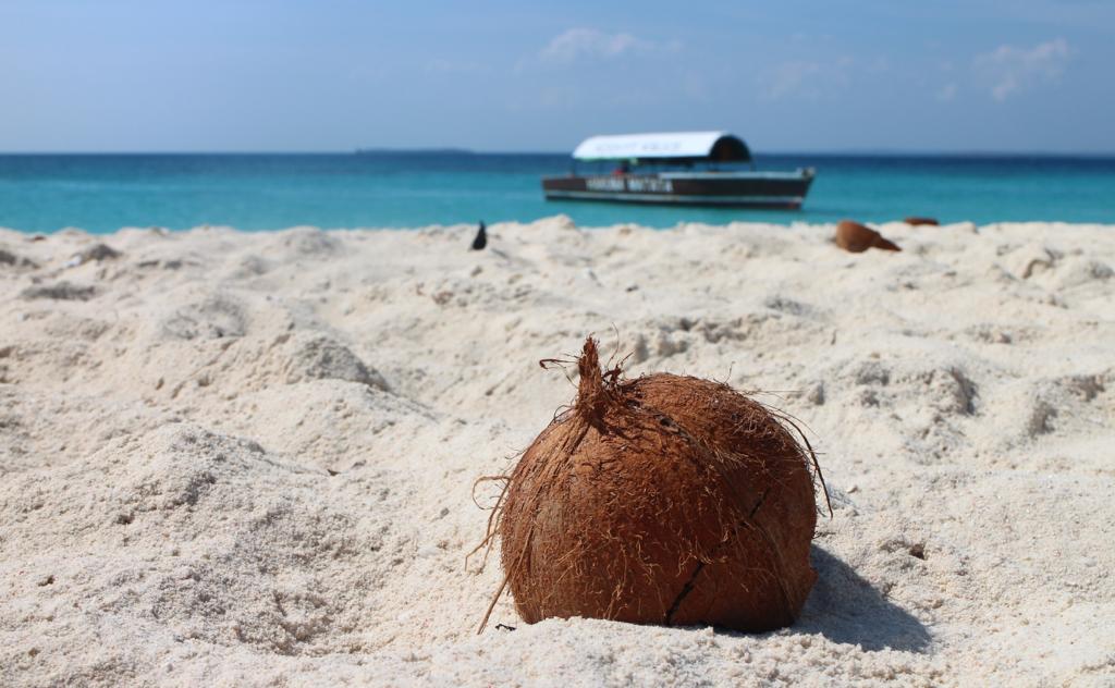 zanzibar holidays and tours 2025 - 2026