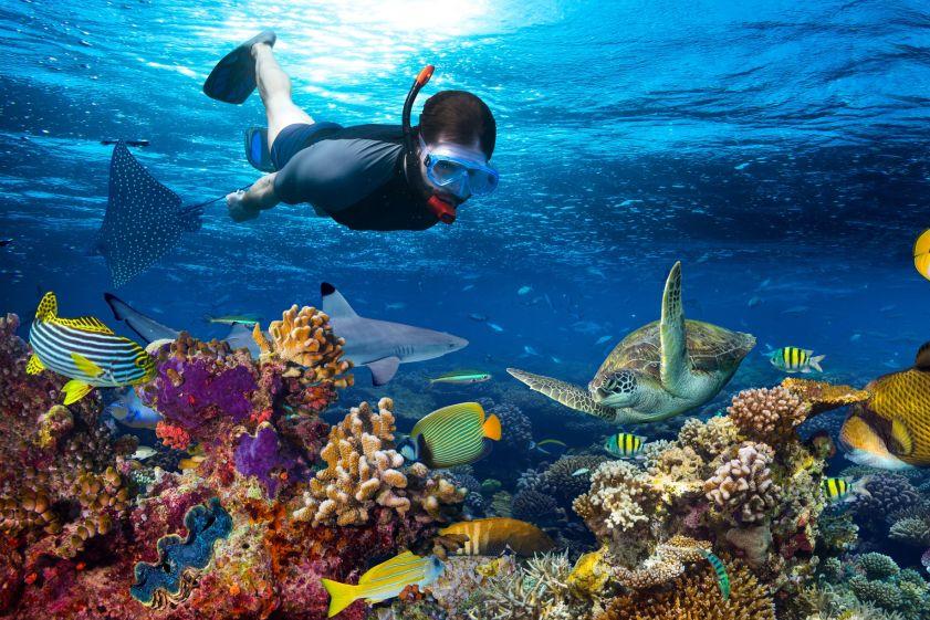 5-Day Ultimate Zanzibar Island and Mnemba Atoll Snorkeling Package