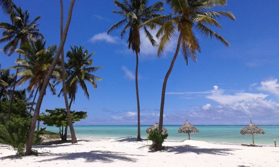 Paje beach kitesurfing and shallow lagoon in Zanzibar