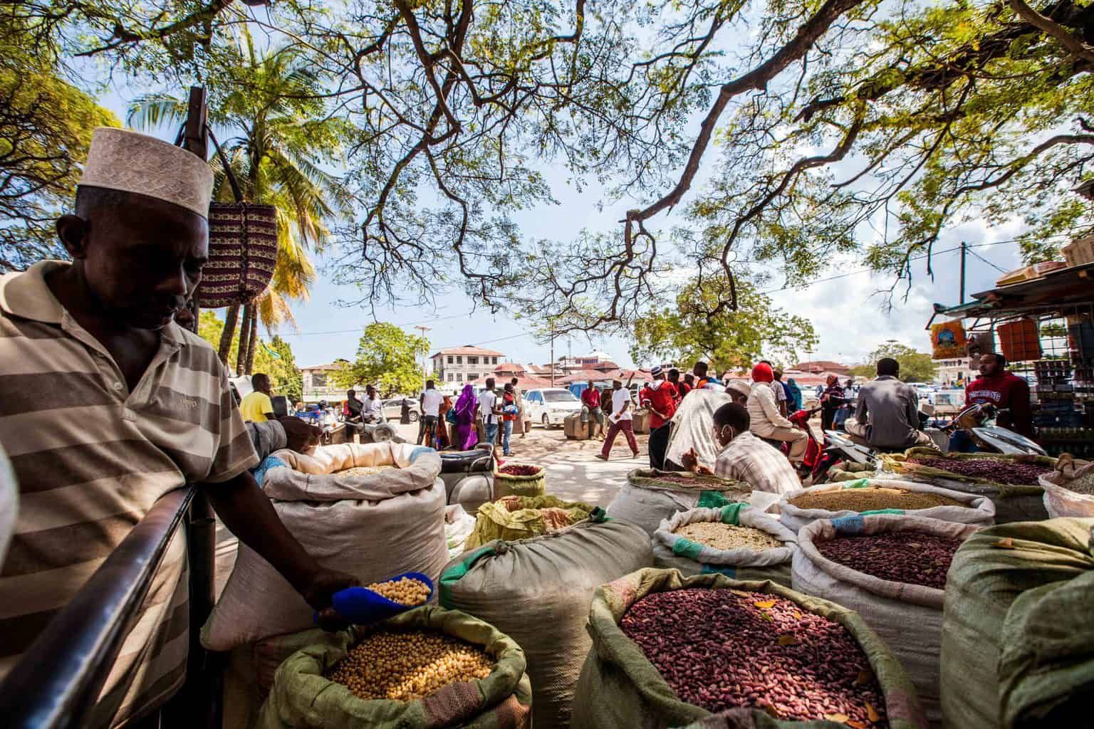 Aromatic spice plantation tour with fresh vanilla and cinnamon in Zanzibar