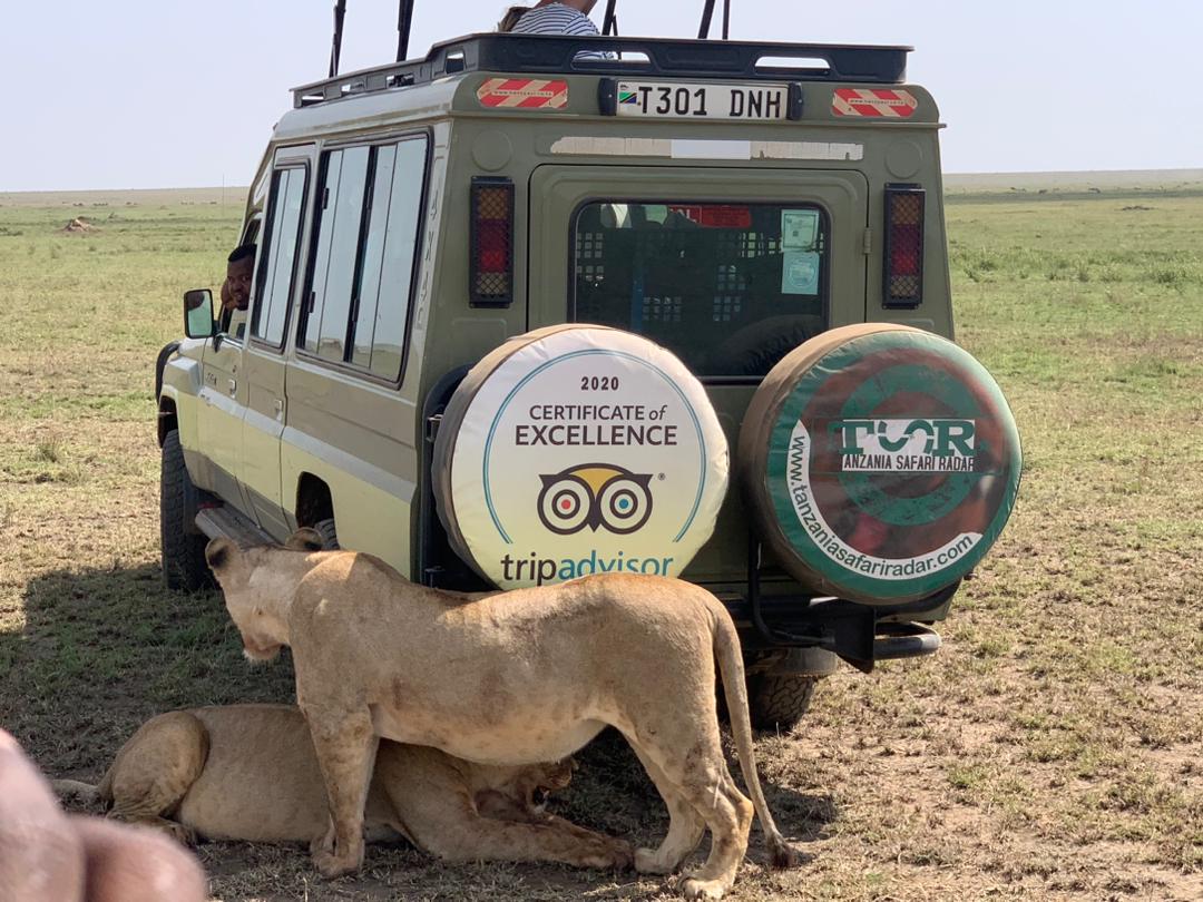 Ngorongoro Crater