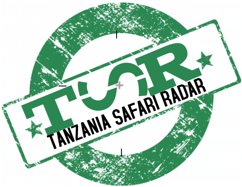 Tanzania Safari